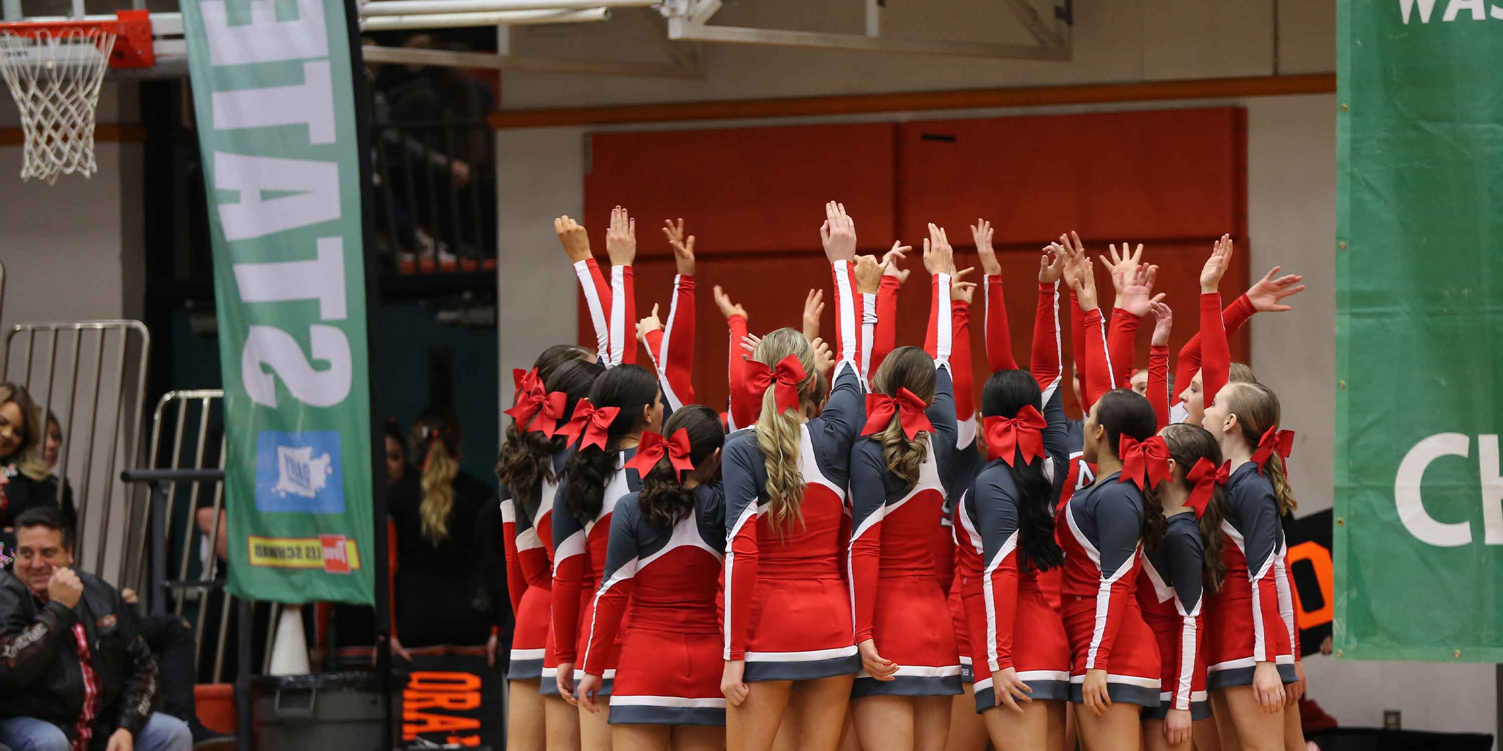 Cheer Bow Fundraiser - q0fvqjz